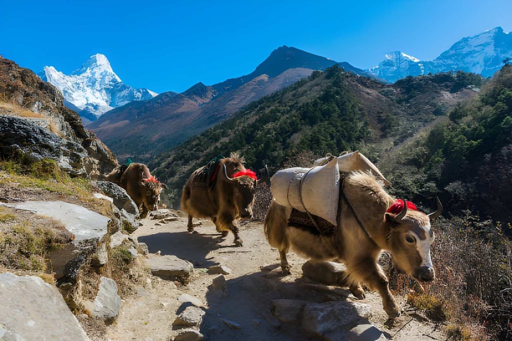 way-to-namche-ebc