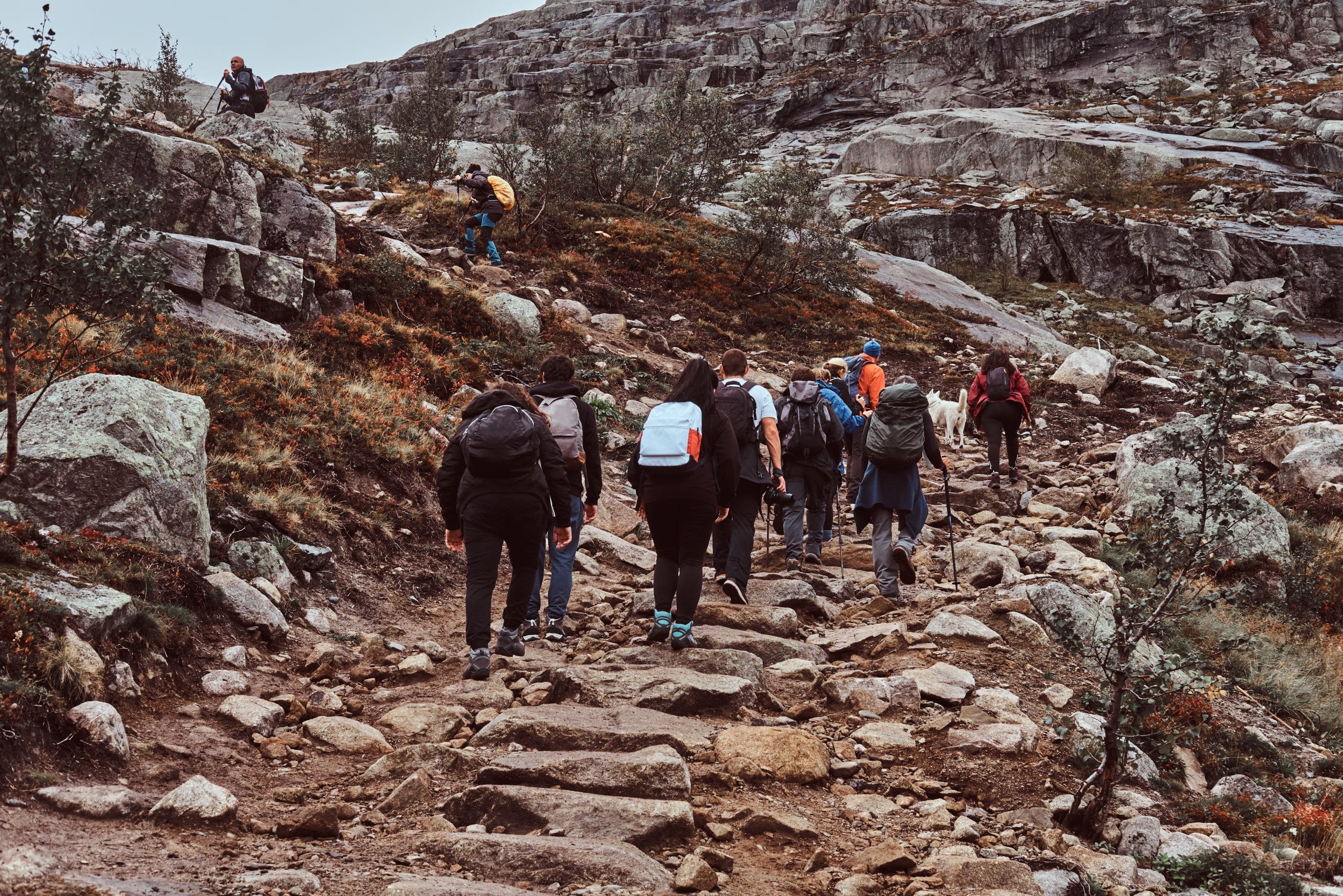 Best Treks in Nepal for Groups of People and Beginners